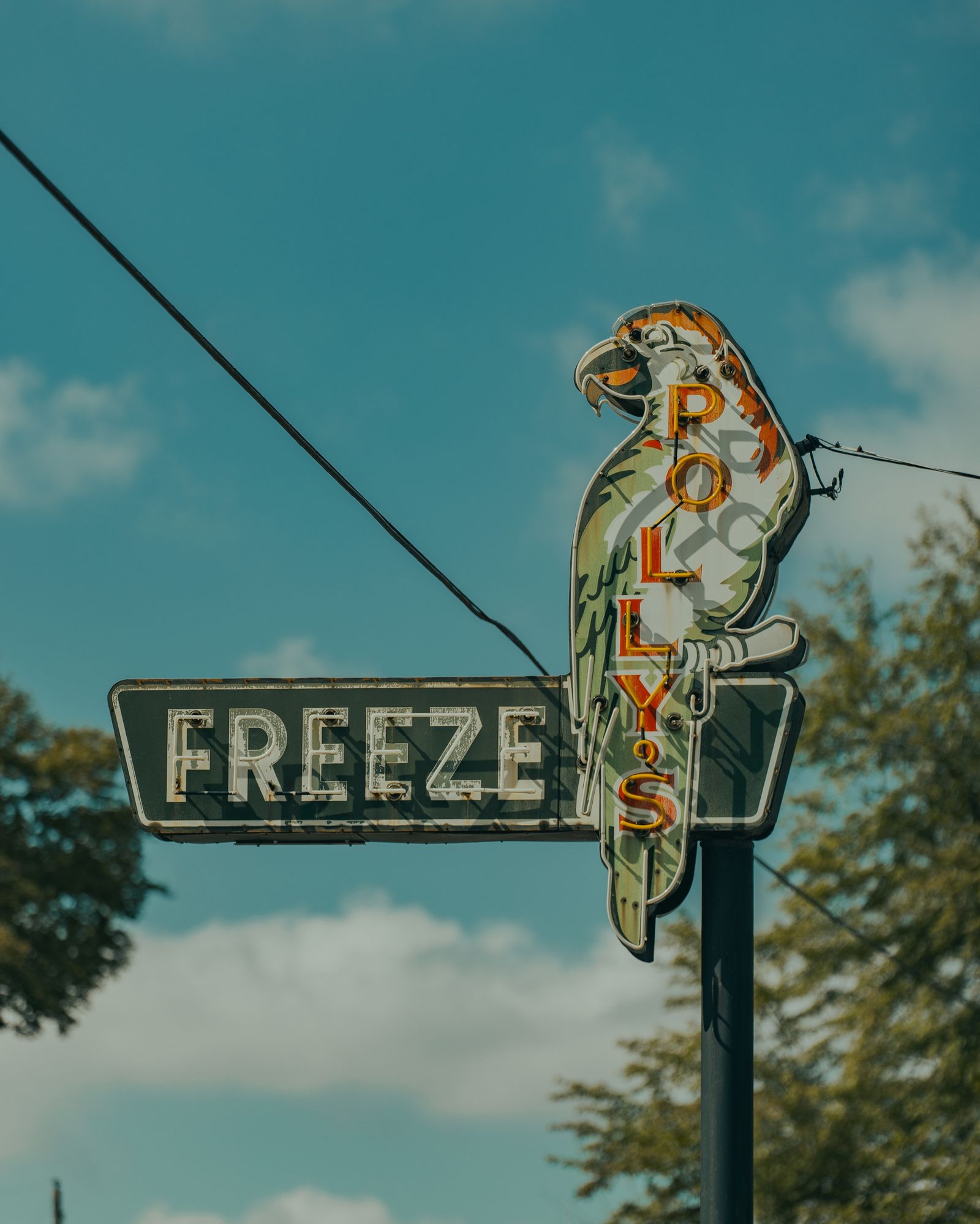 Polly's Freeze