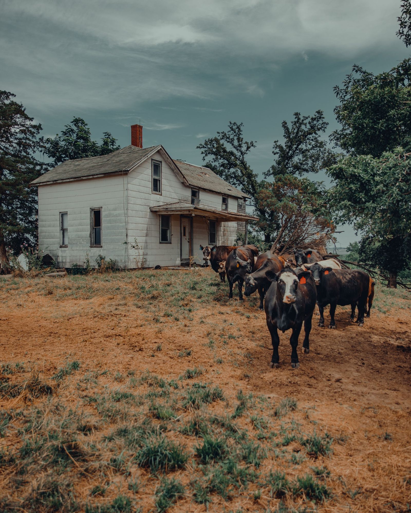 Prairie Union Farm House