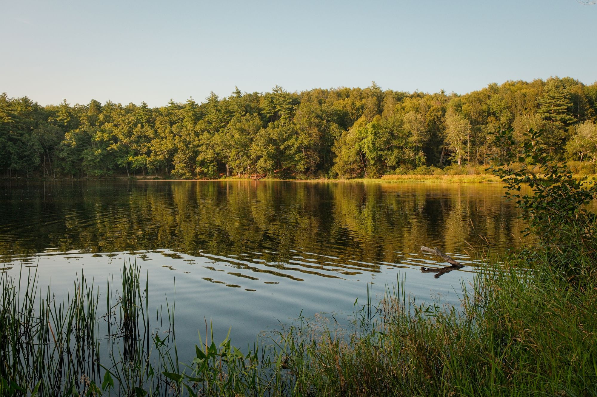 Puffers Pond, Amherst 02