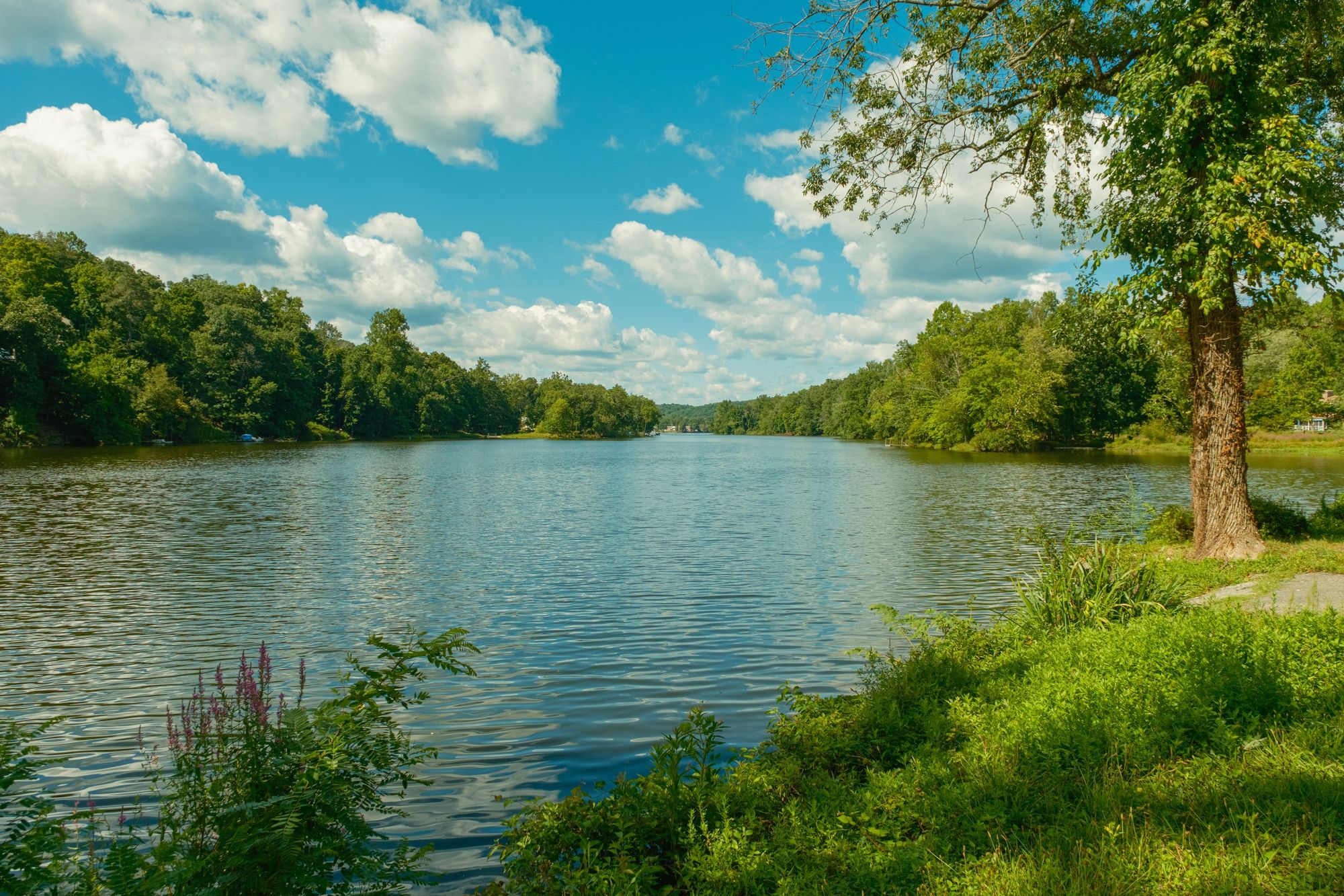 Ramapo River, Pompton Lakes 01