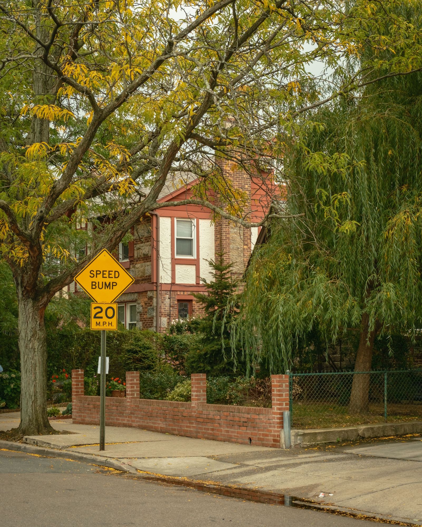 Rego Park Foliage