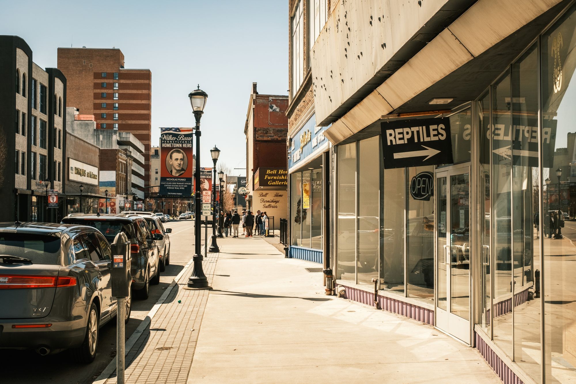 Reptiles, Wilkes-Barre
