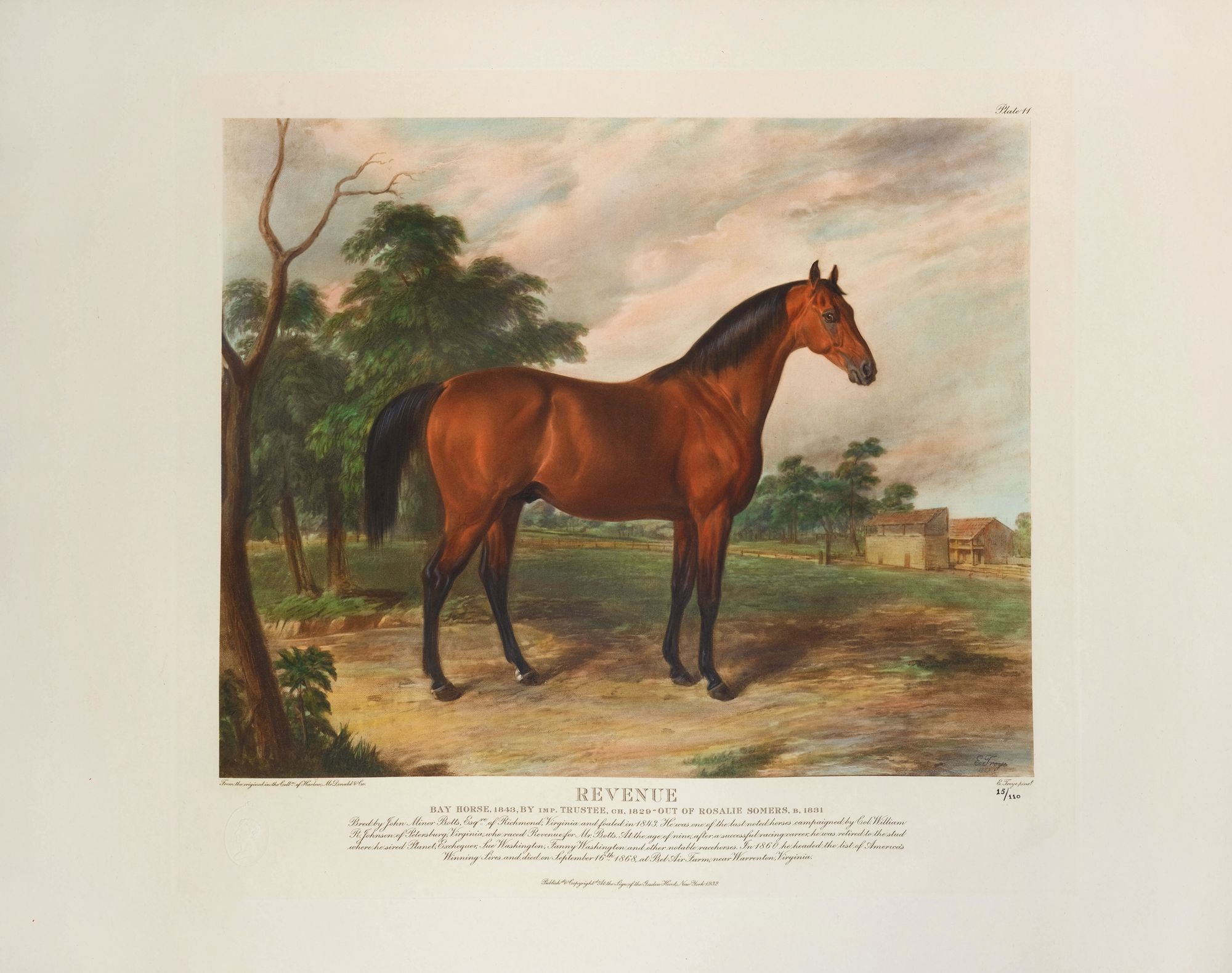 Revenue (1932)