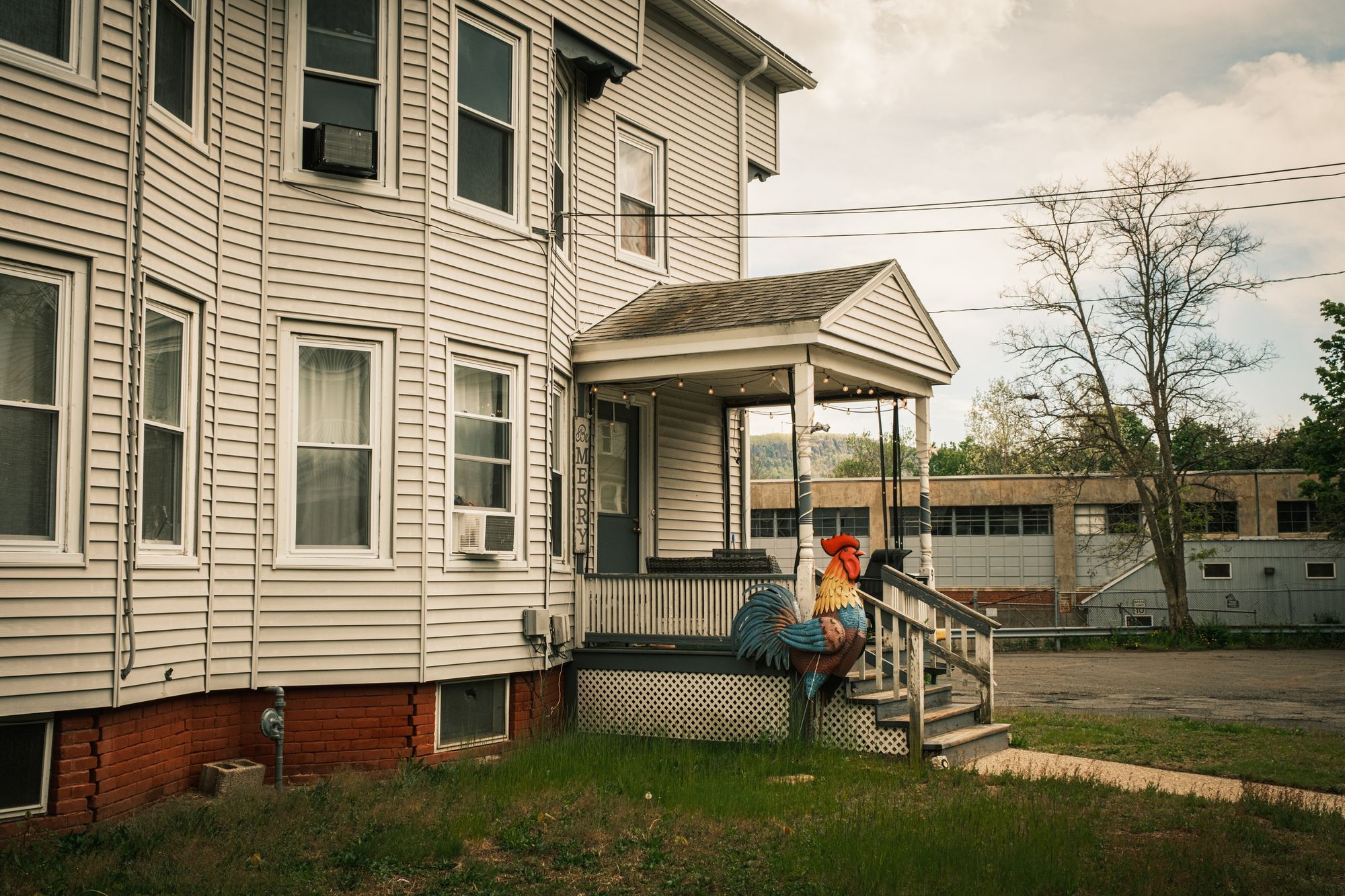 Rooster, Easthampton