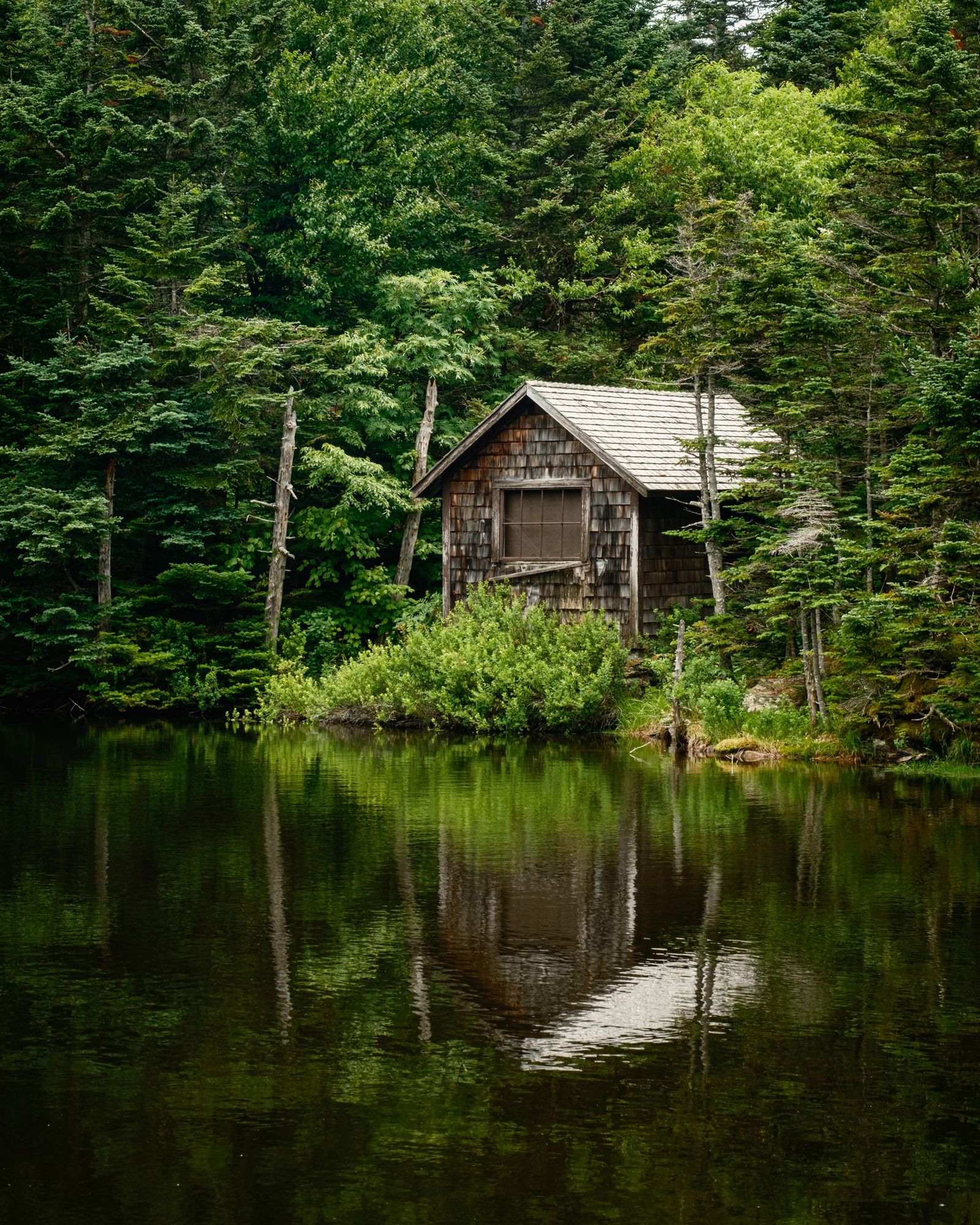 Rockwell Pond, Mount Greylock 02