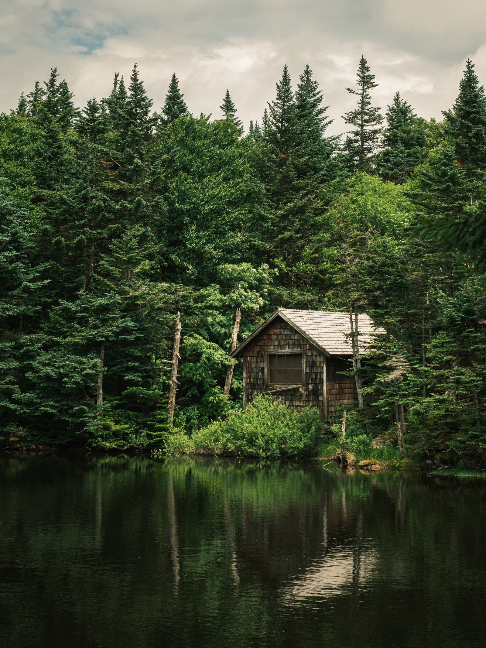 Rockwell Pond, Mount Greylock 01