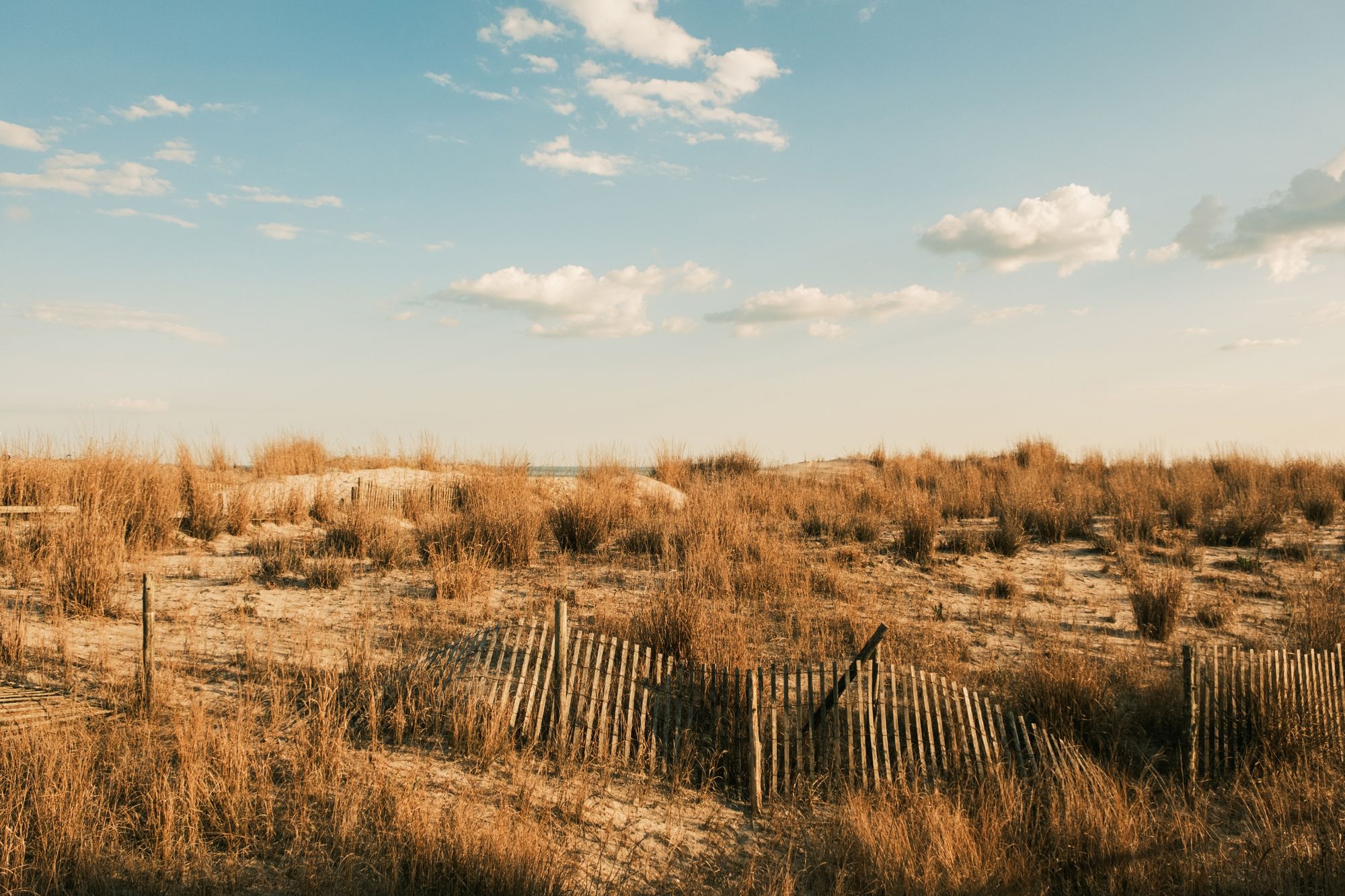Sand Dunes in Ventnor City