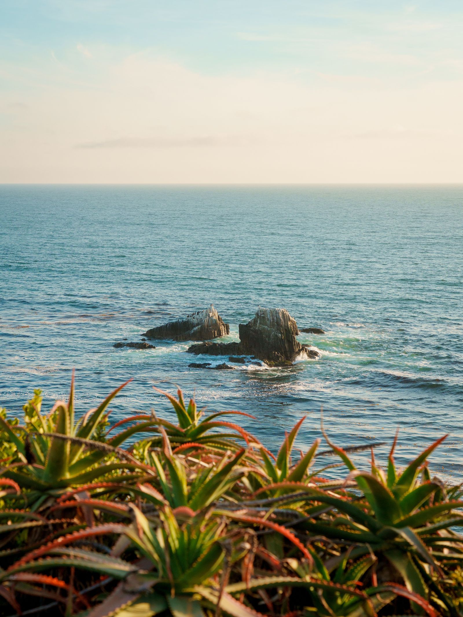 Seal Rock, Laguna Beach