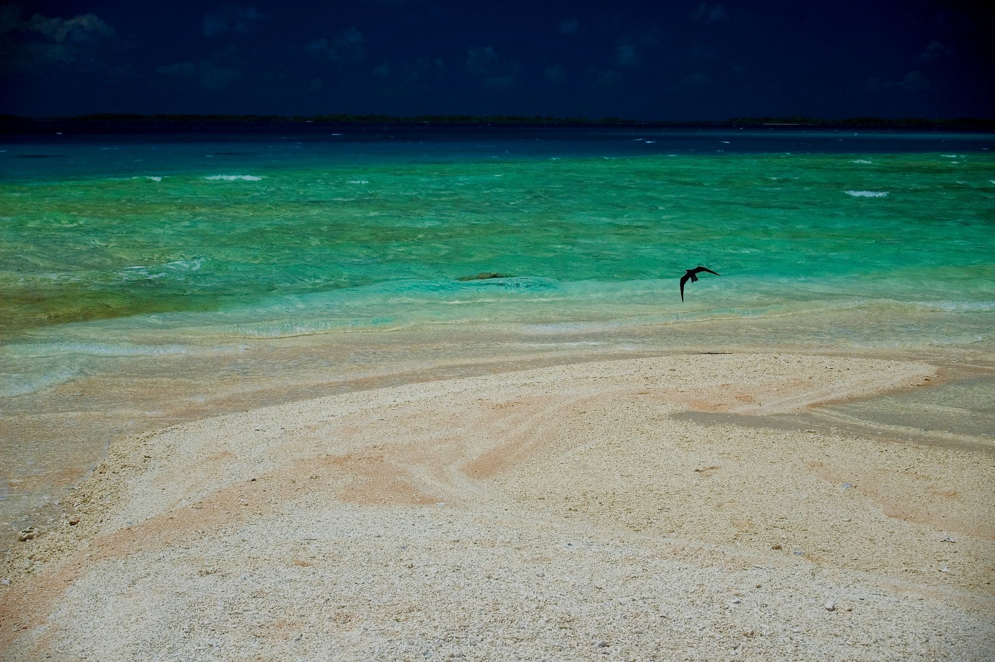 Serene Shores