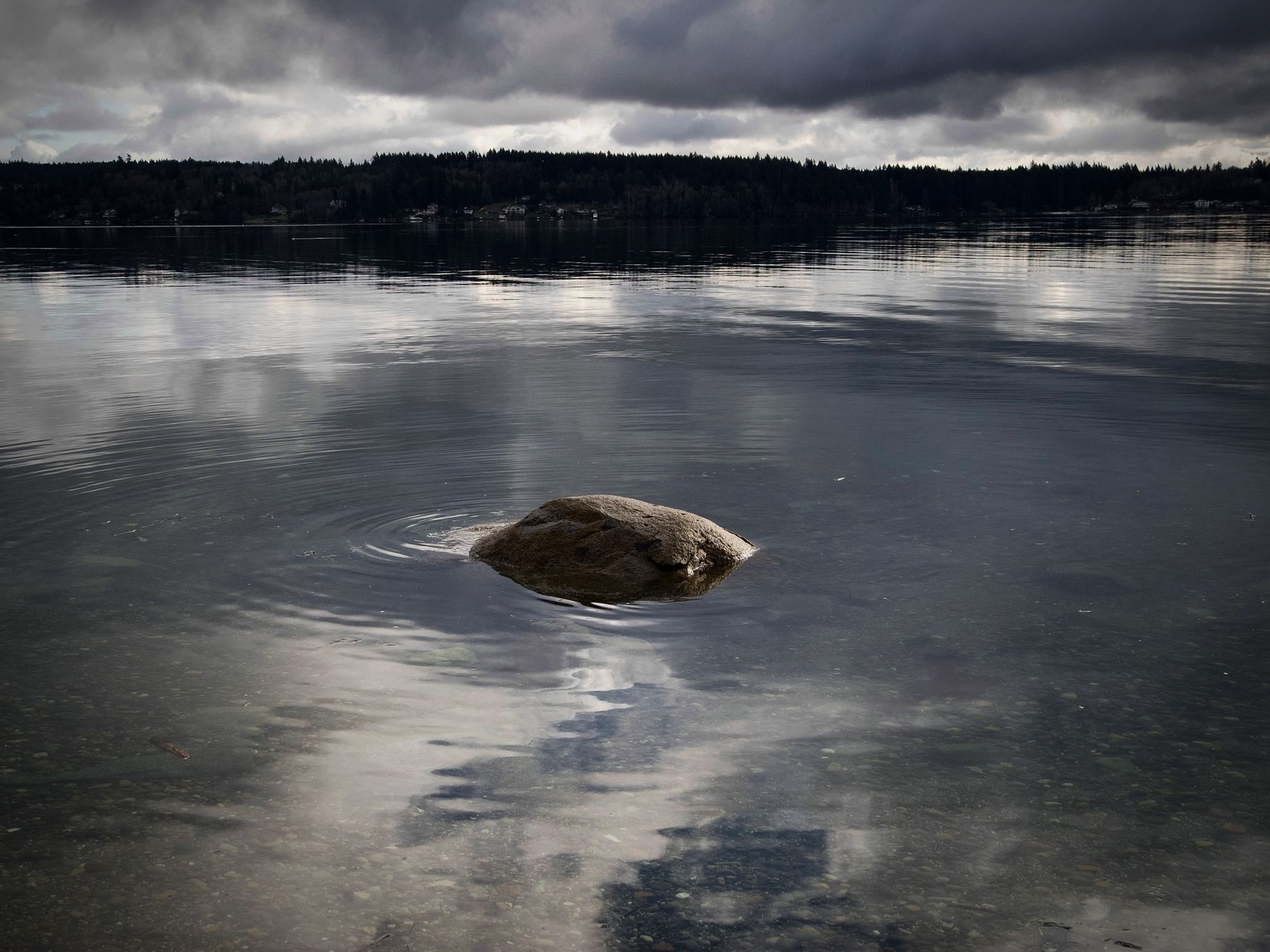 Serenity's Stone