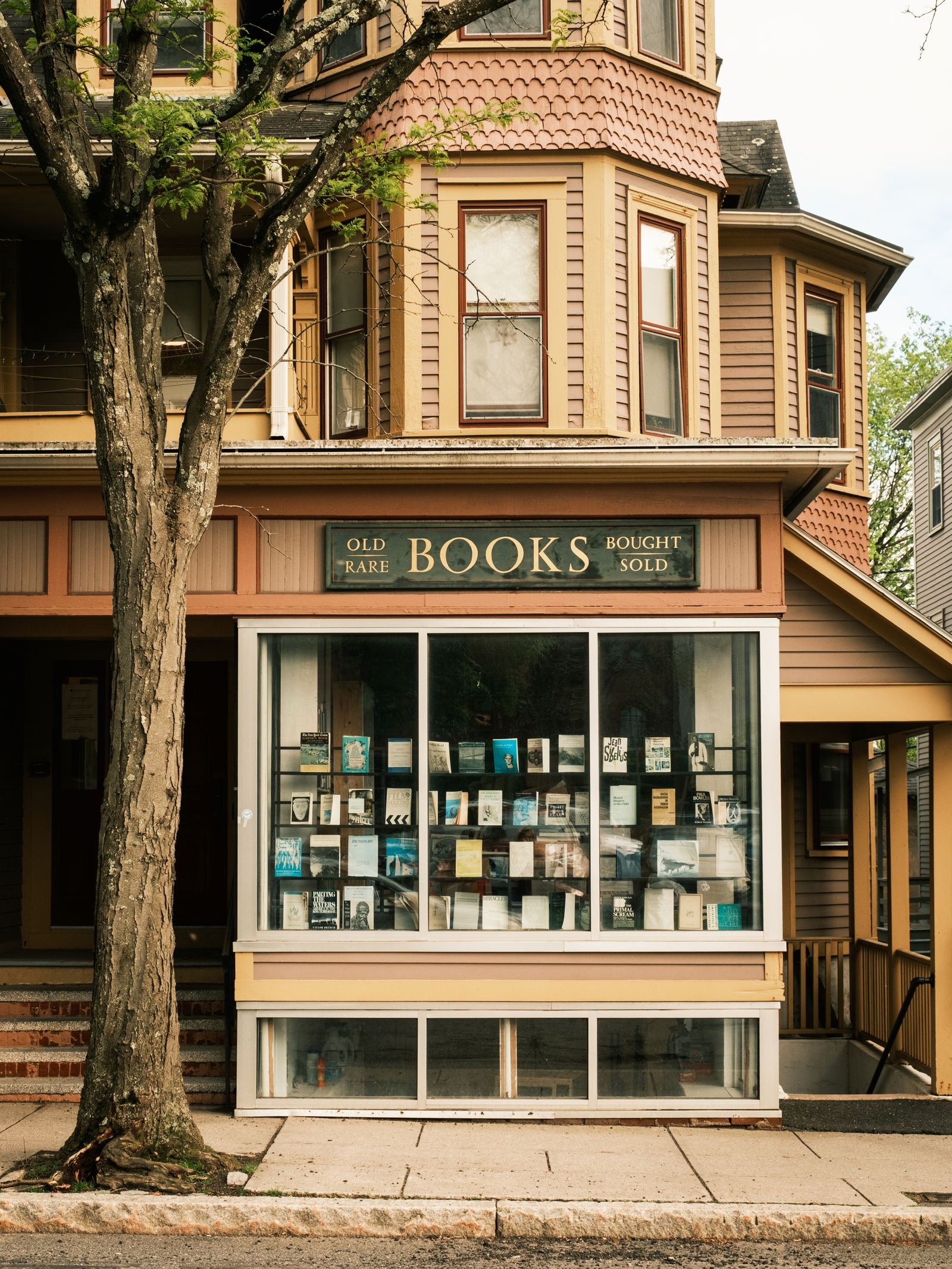 Seth Nemeroff Bookseller, Northampton