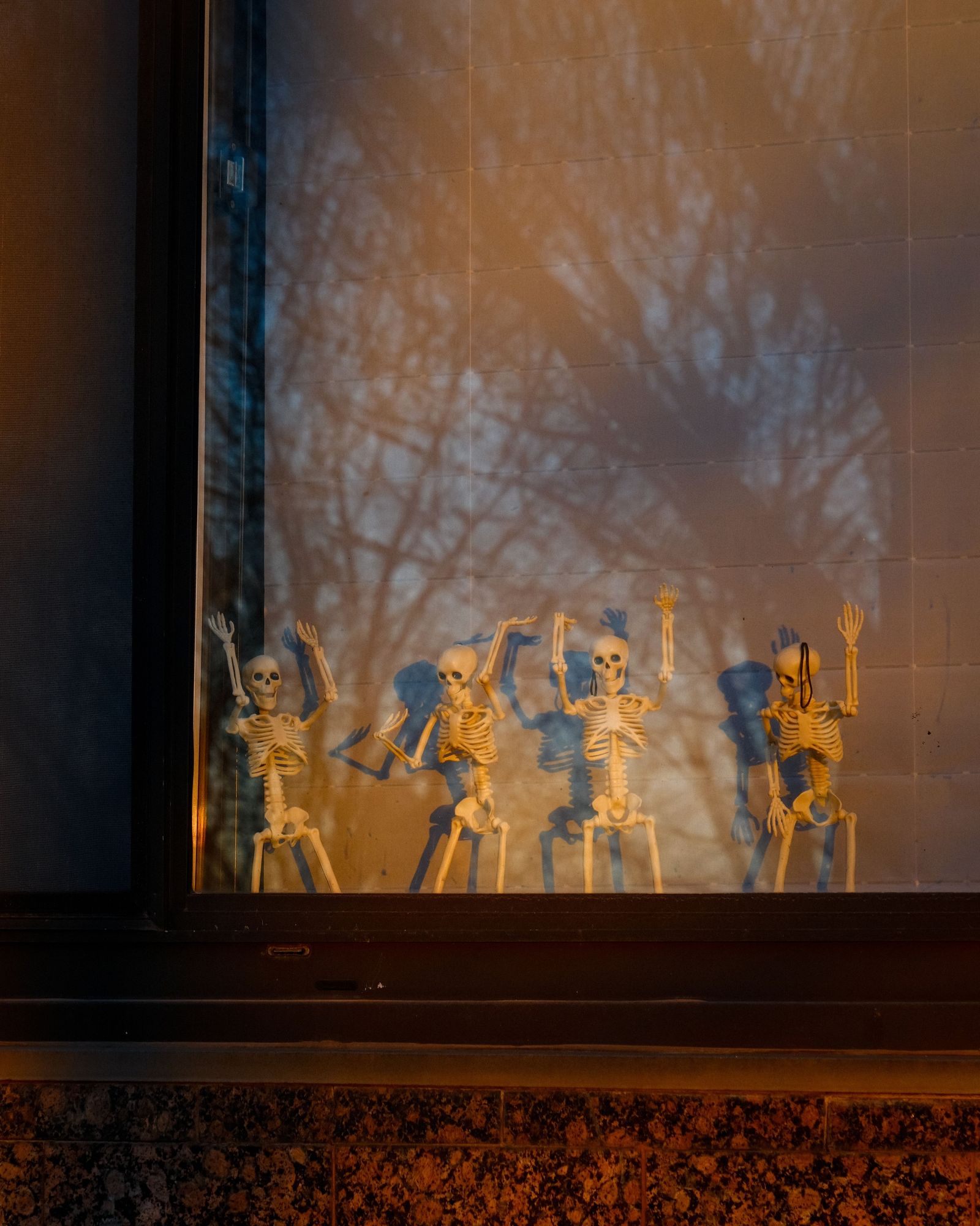 Skeletons in the Window