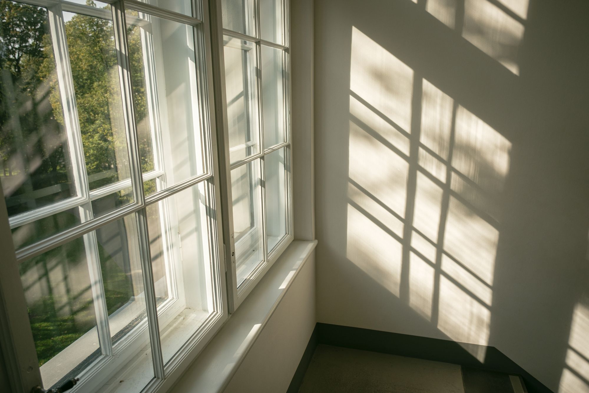Shadows & Light 01