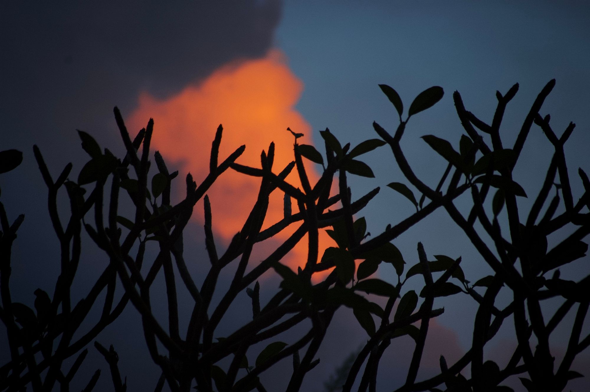 Silhouetted Serenity