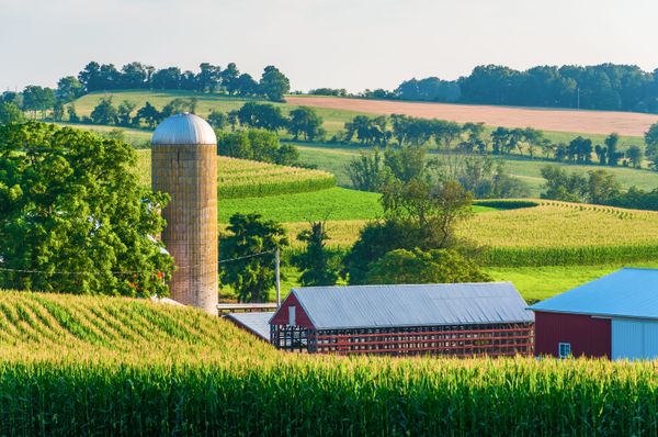 Silos