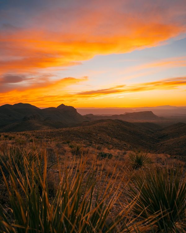 Big Bend National Park