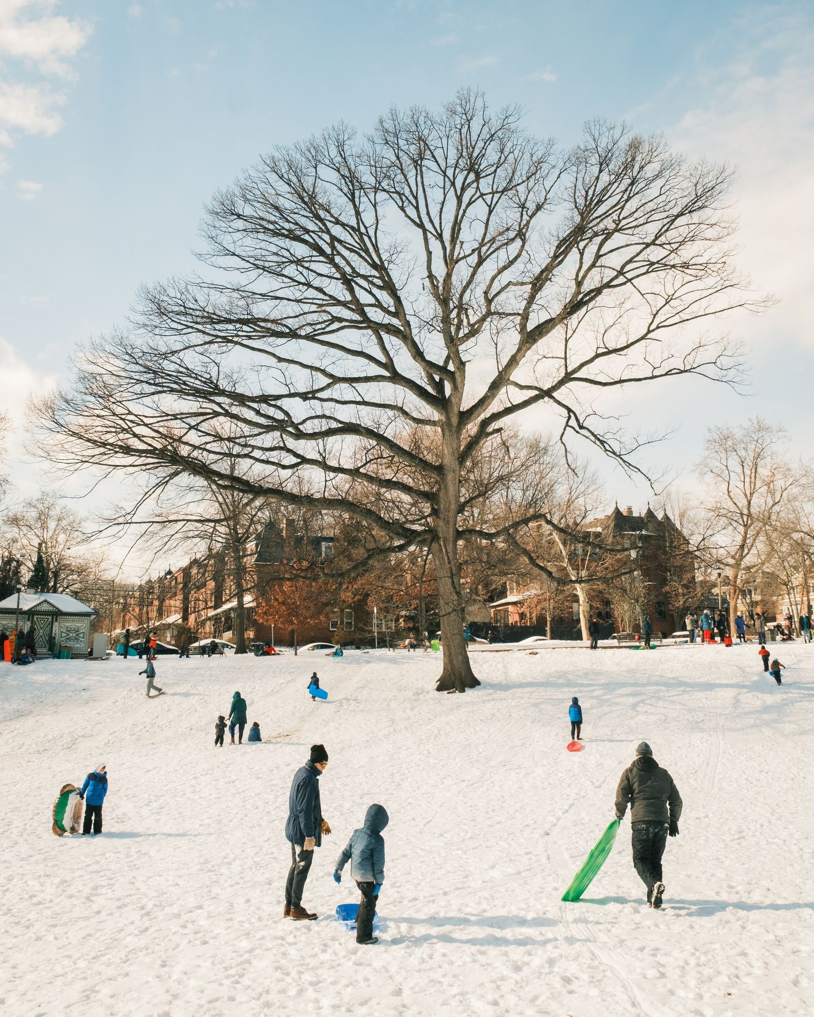Sledding at Clark Park, Philadelphia 02