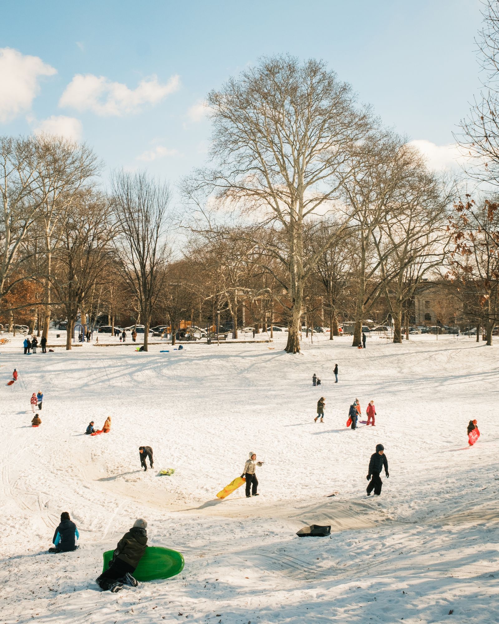 Sledding at Clark Park, Philadelphia 03