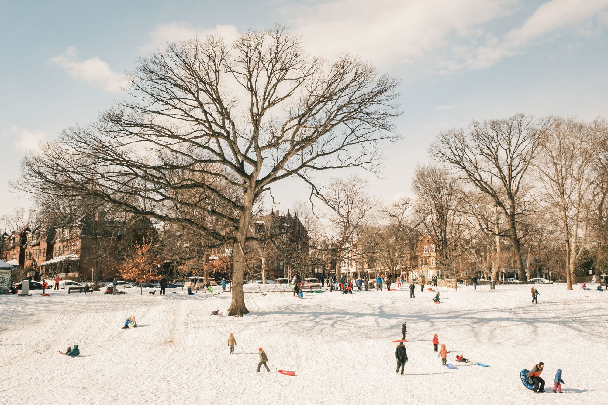 Sledding at Clark Park, Philadelphia 01