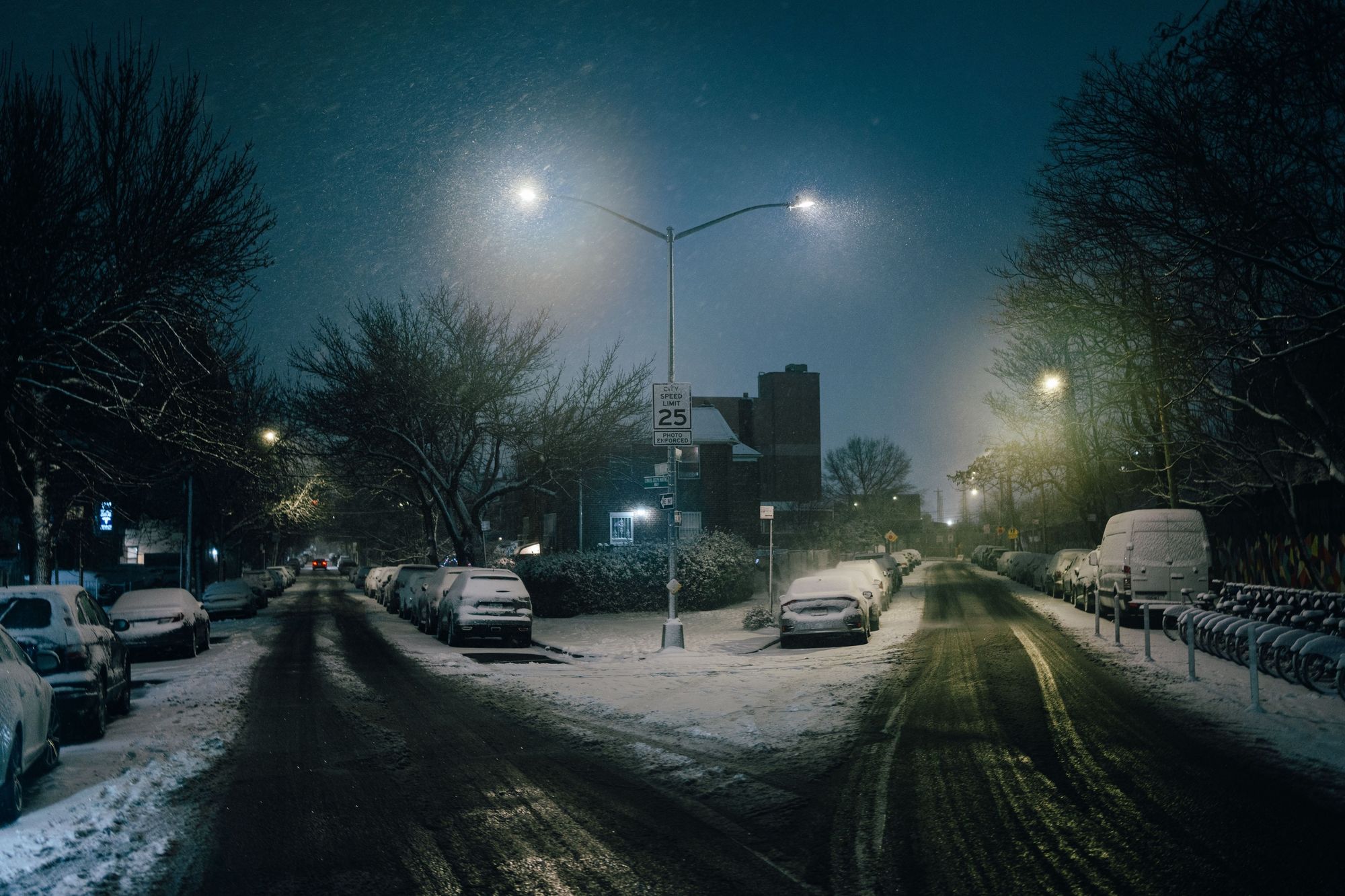Snowstorm in Elmhurst