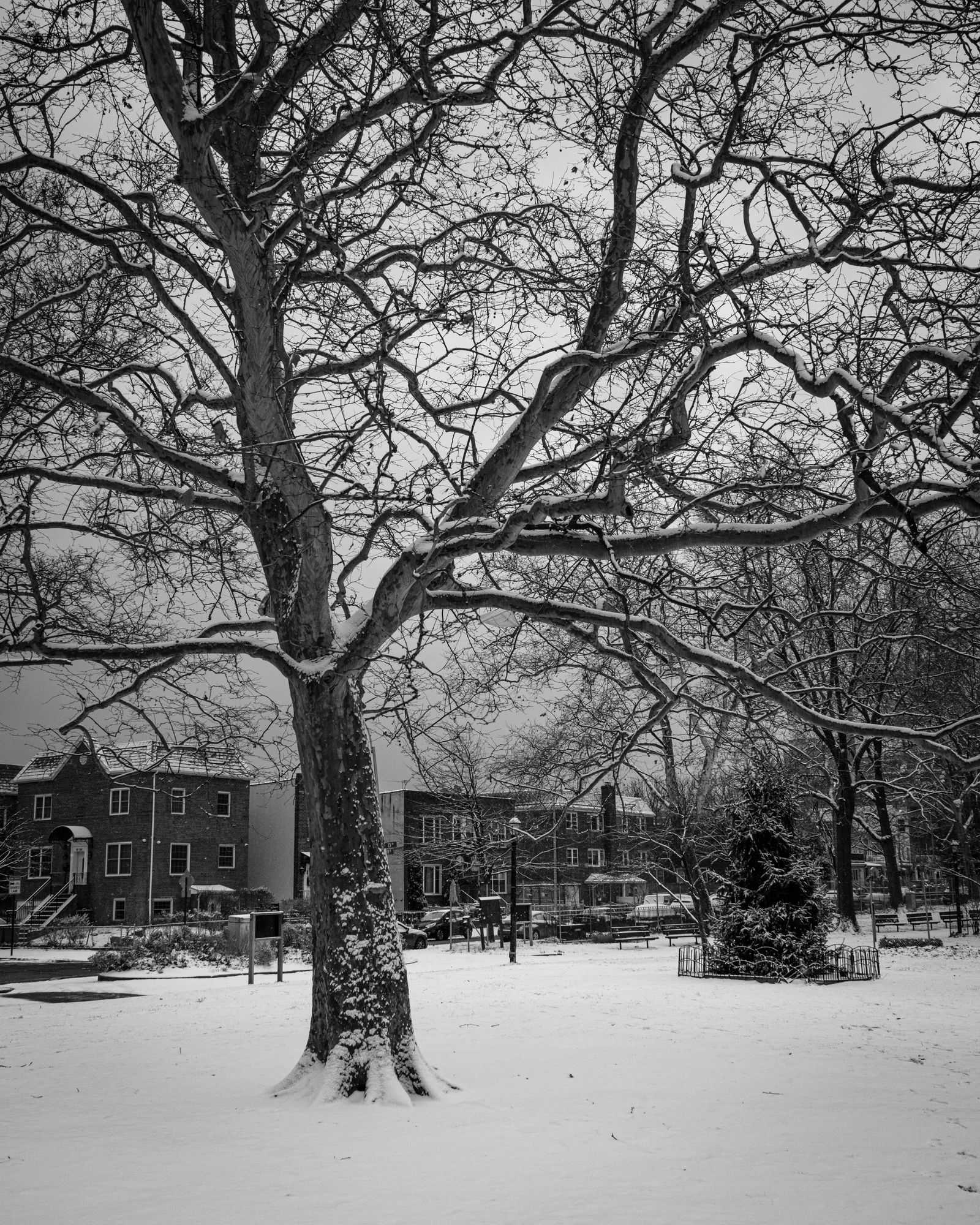 Snowy Astoria Park B&W