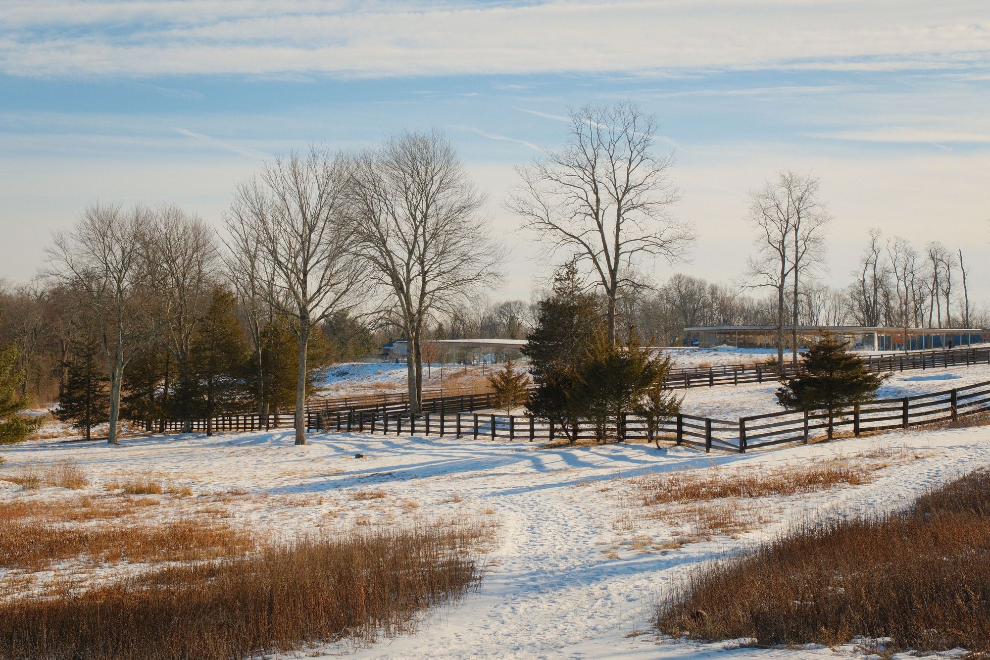 Snowy Grace Farms, New Canaan