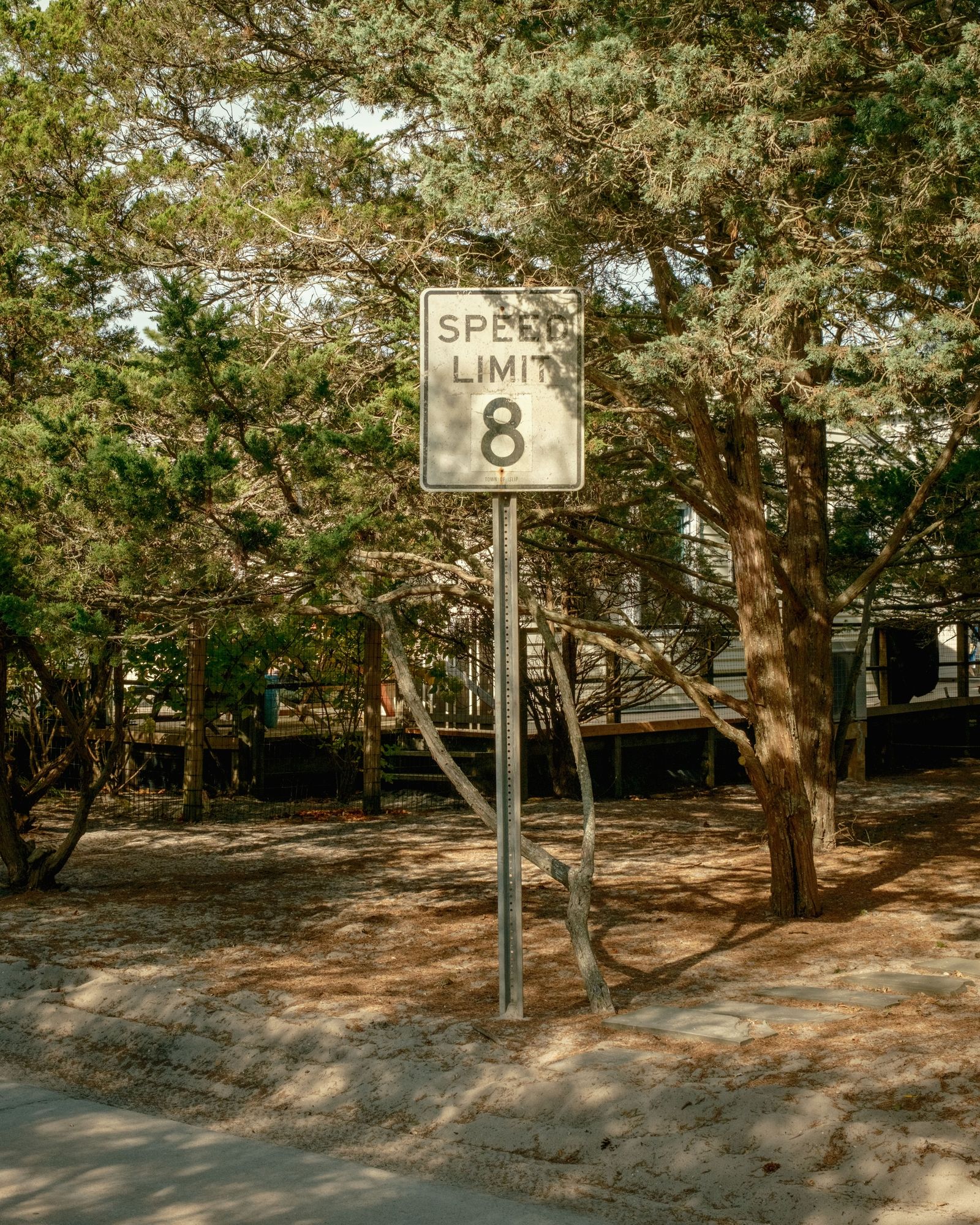 Speed Limit 8, Fire Island