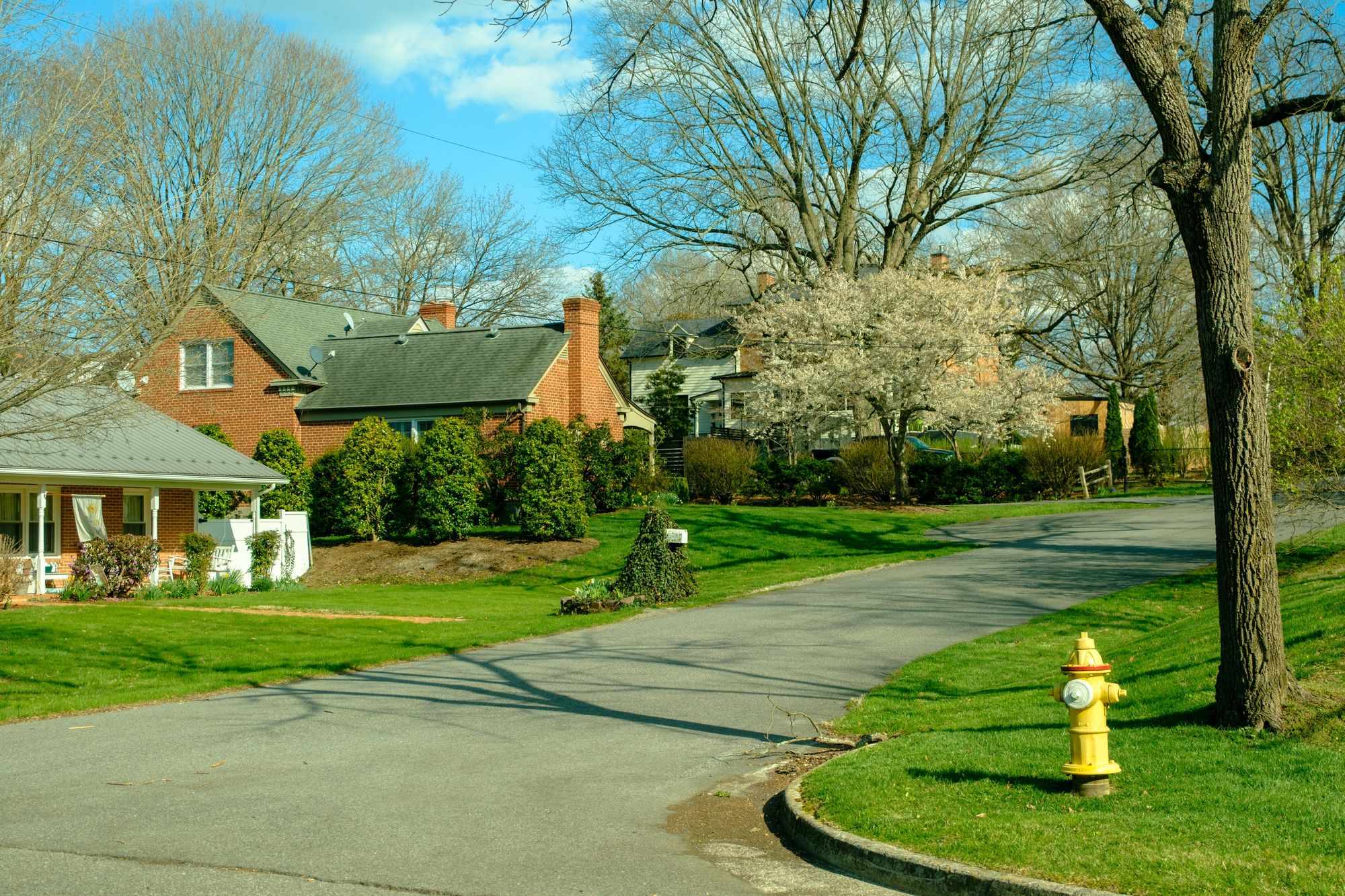 Spring in Wytheville