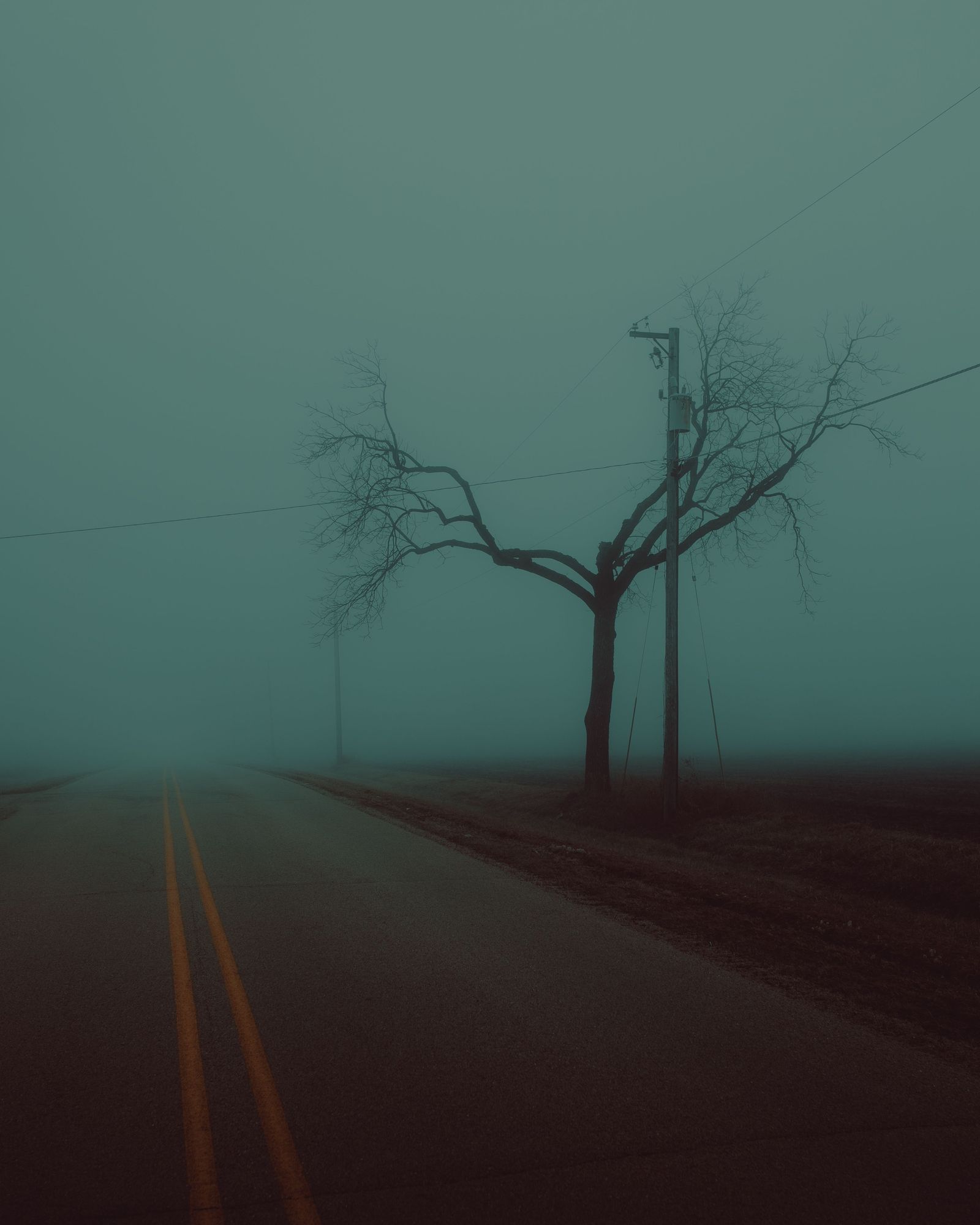 State Line Road in the Fog