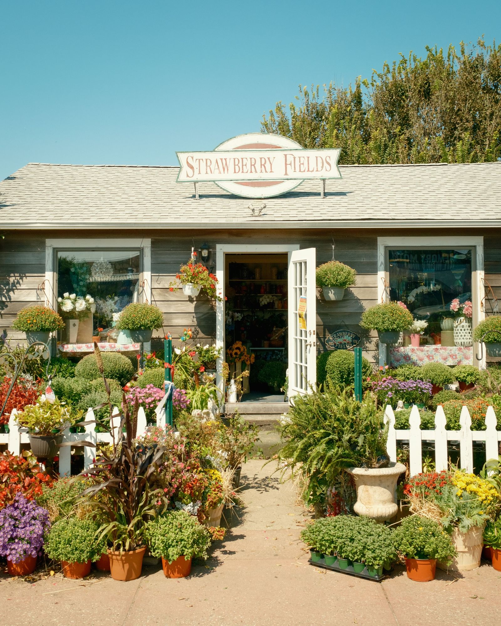 Strawberry Fields, Montauk 03