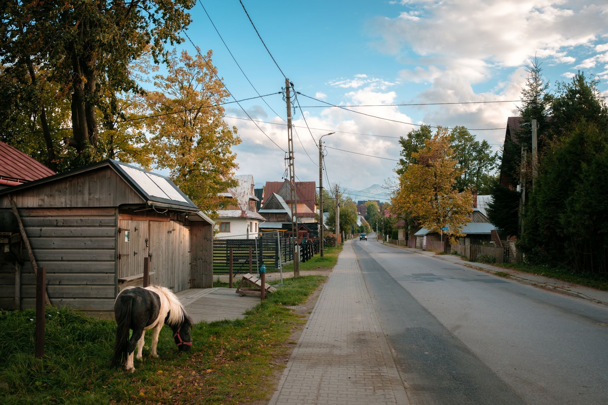 Street in Ząb 03
