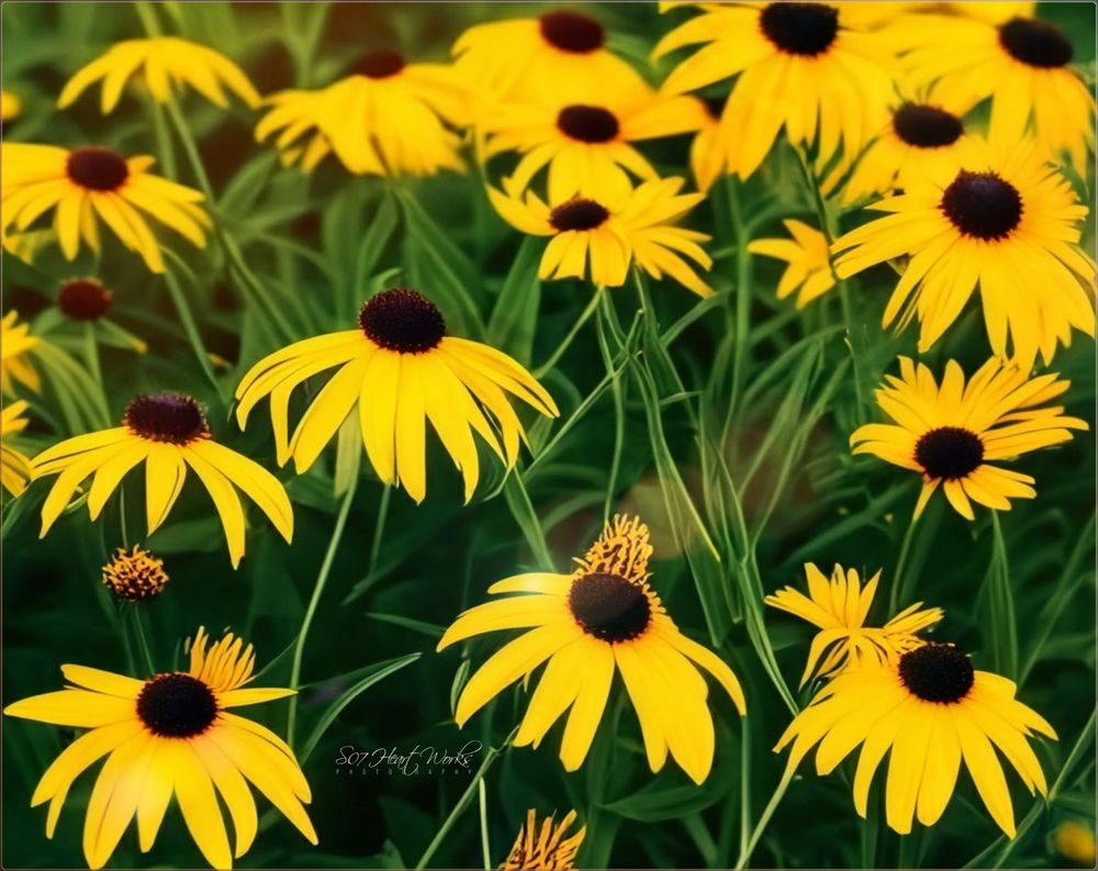 sunnyfaces-framer-gallery-framed-wall-art-prints