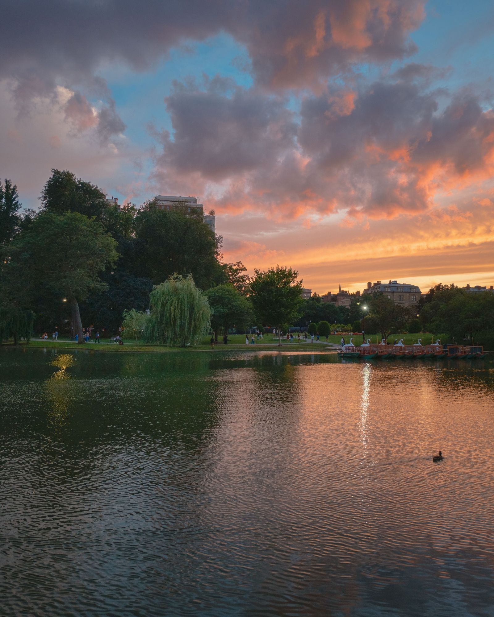 Sunset at the Public Garden, Boston 01