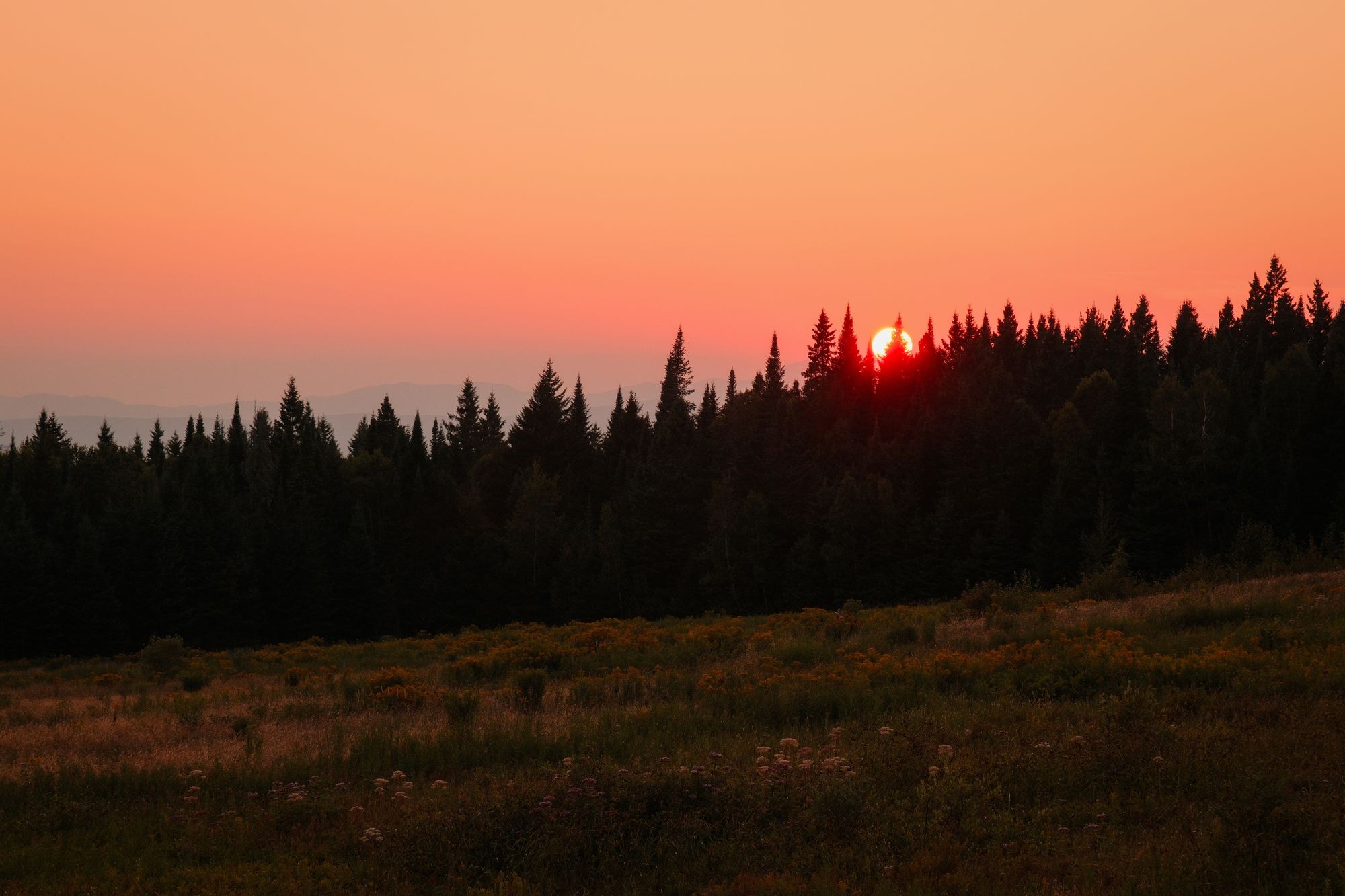 Sunset from Sentinel Rock, Westmore