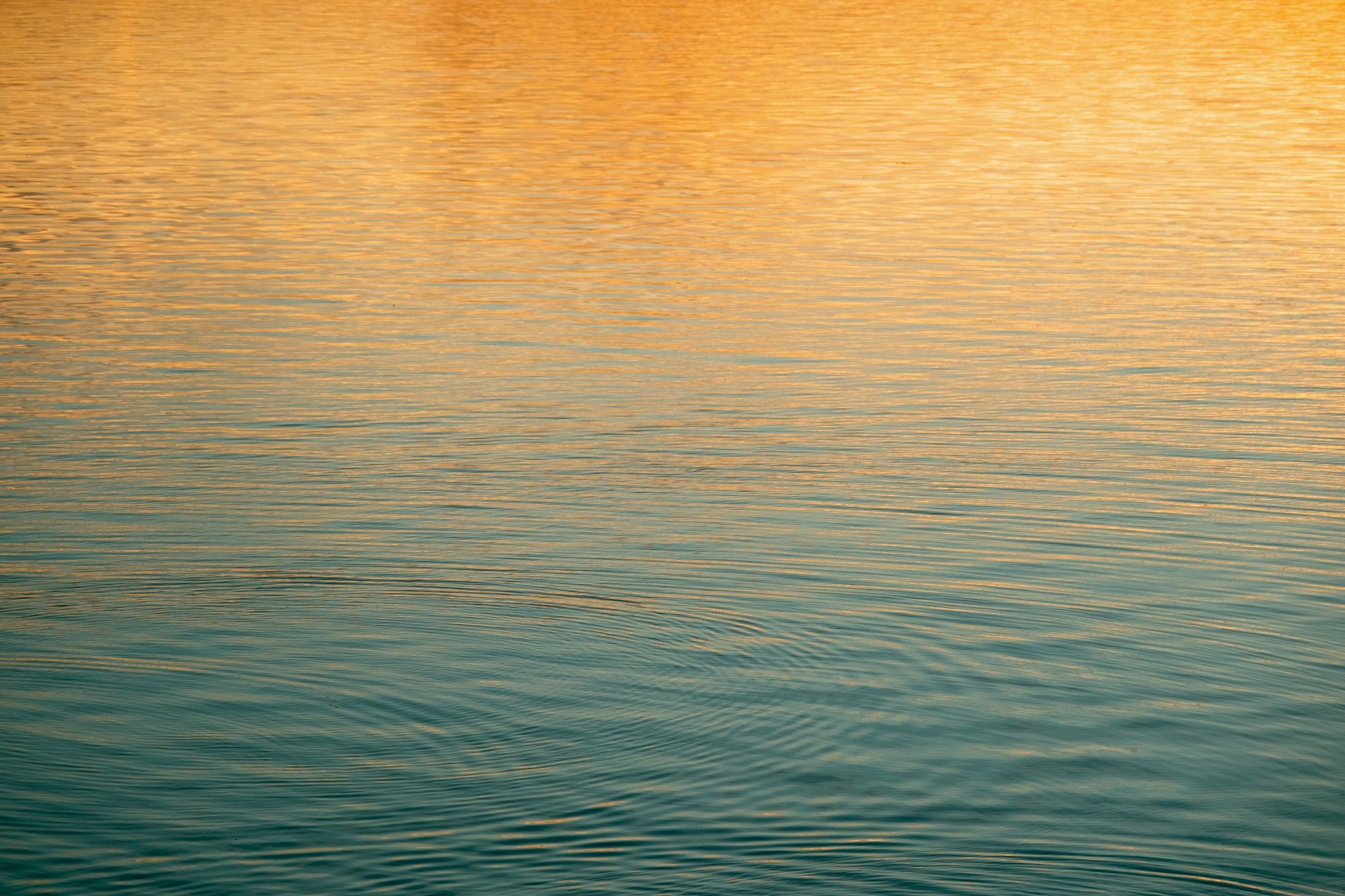 Sunset Ripples
