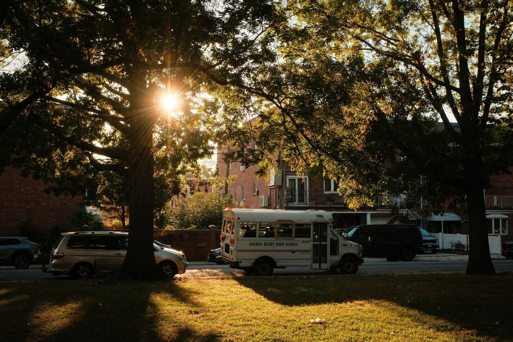 Sunshine at Juniper Valley Park, Queens