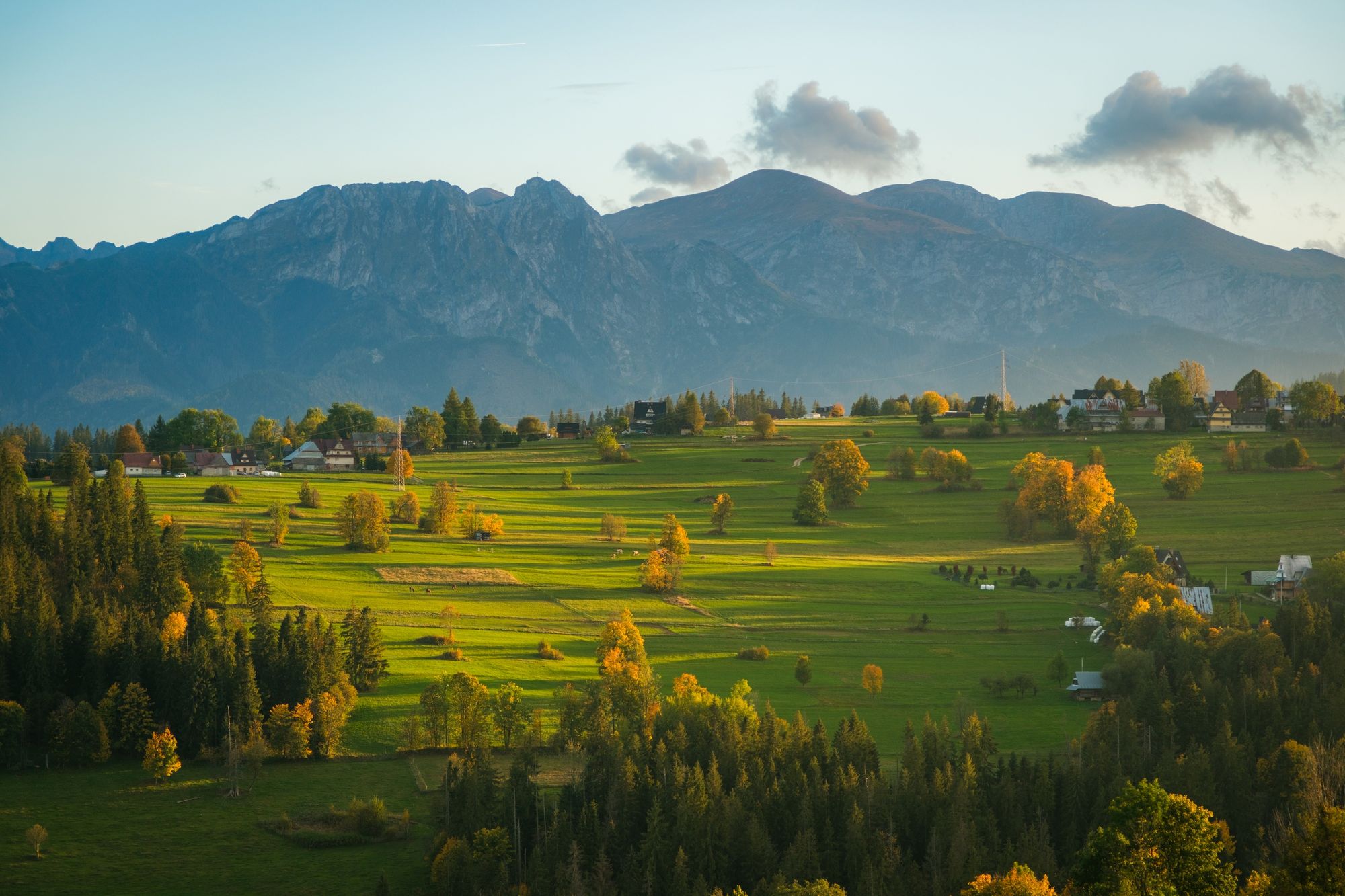 Suche Views 03