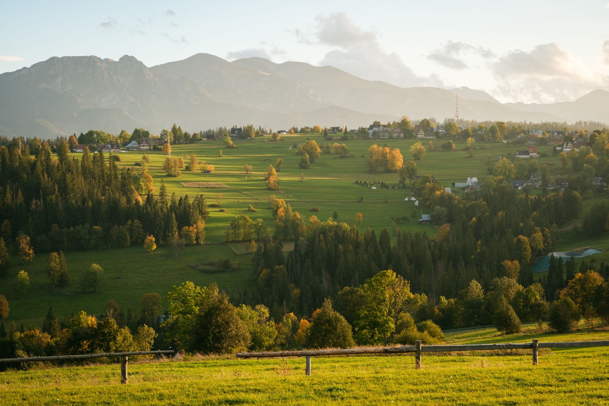 Suche Views 04